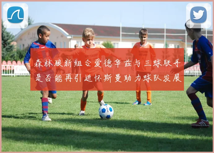 森林狼新组合爱德华兹与三球联手是否能再引进怀斯曼助力球队发展